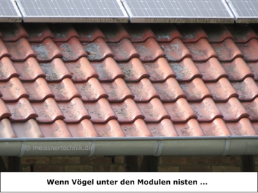 MEISSNER - Palettenlieferung - 120x Photovoltaikbürsten - 100 cm lang - Ø 19 cm - Drehdraht aus Edelstahl - 1 Palette - idealer Nistschutz und effektive Taubenabwehr - Photovoltaik - Fotovoltaik