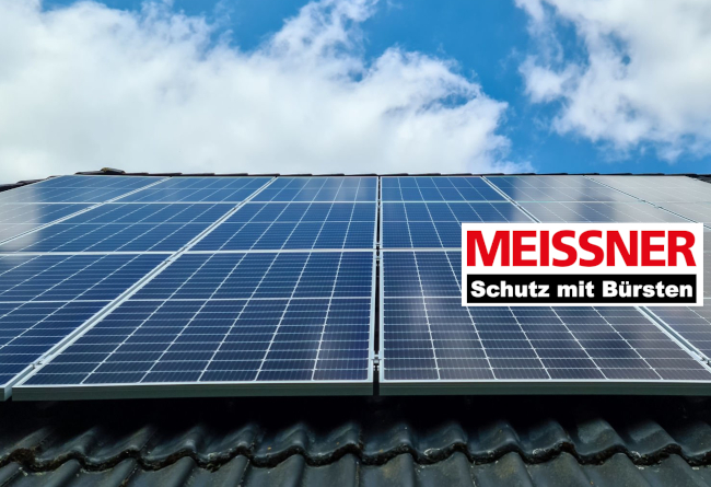  MEISSNER - 120x Photovoltaikbürsten - 100 cm lang - Ø  19 cm - Palette - idealer Nistschutz und effektive Taubenabwehr -  Photovoltaik - Fotovoltaik
