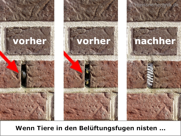 MEISSNER - 100x Fugenbürsten - 102 cm lang - Ø 17 mm - gerade